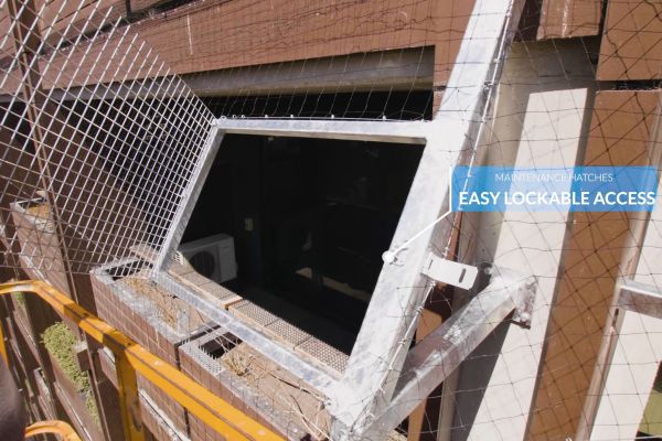 bird-netting-melbourne-0013-layer-2155C25FBC-4A3D-6CB1-1E30-278C5370C603.jpg