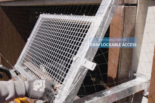 bird-netting-melbourne-0014-layer-201B47EC37-96C9-D3B0-40C8-D20D83F05F0E.jpg