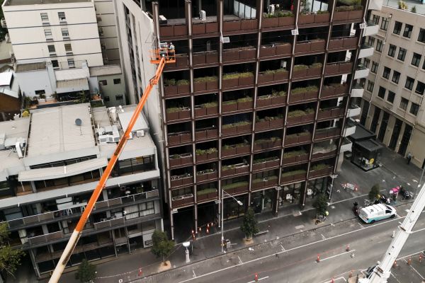 bird-netting-melbourne-0022-layer-12F5FA70FB-C4B1-6BF4-A83E-49C7D434A3CC.jpg
