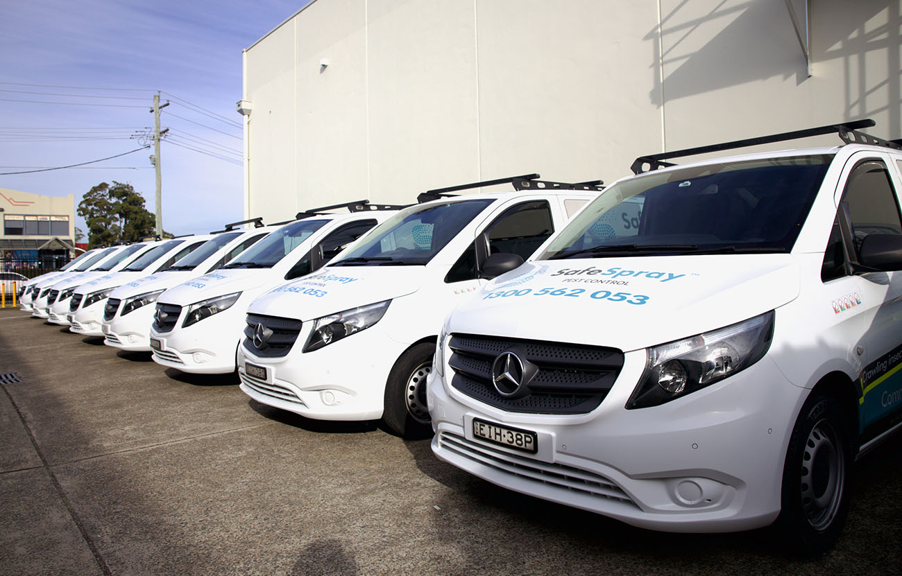 Residential Pest Control Sydney